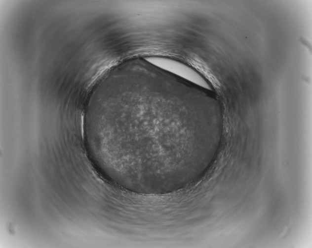 X0000095510014200712281448