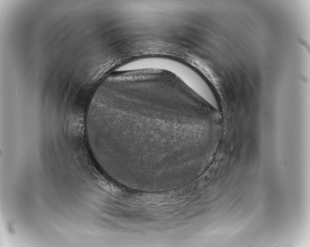 X0000095510017200712281448