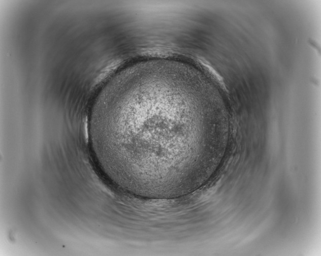 X0000095510020200712281448