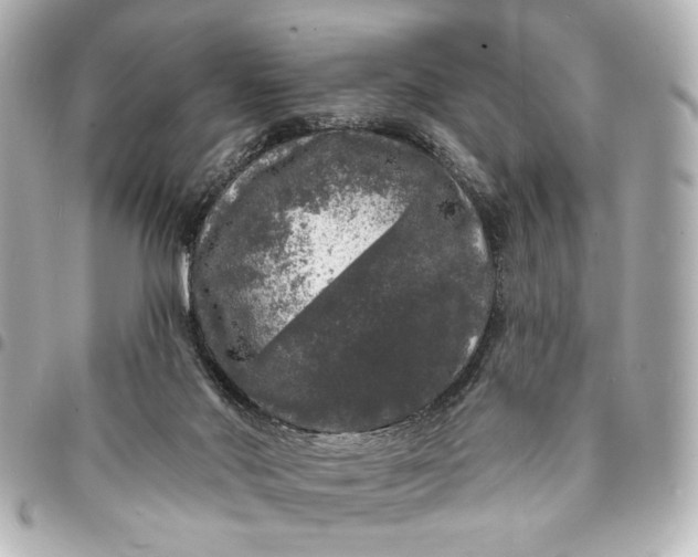 X0000095510022200712281448