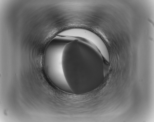 X0000095510023200712281448