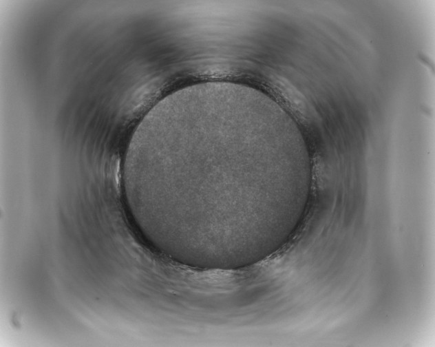 X0000095510024200712281448