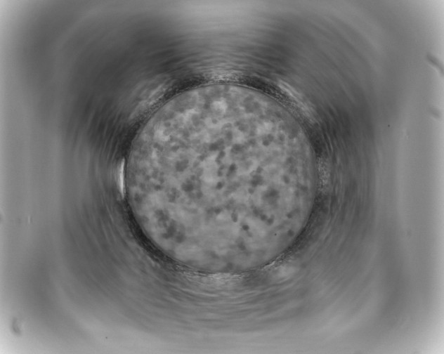 X0000095510028200712281448