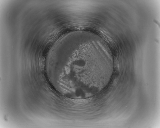 X0000095510030200712281448