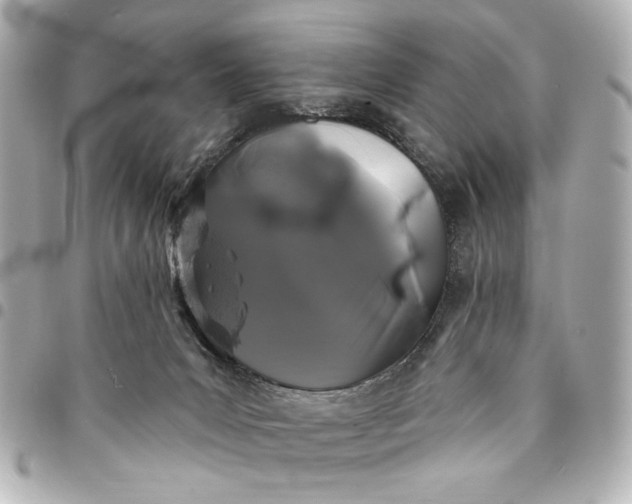 X0000095510031200712281448