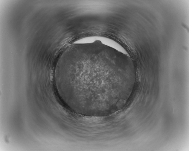 X0000095510032200712281448