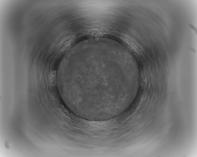 X0000095510034200712281447