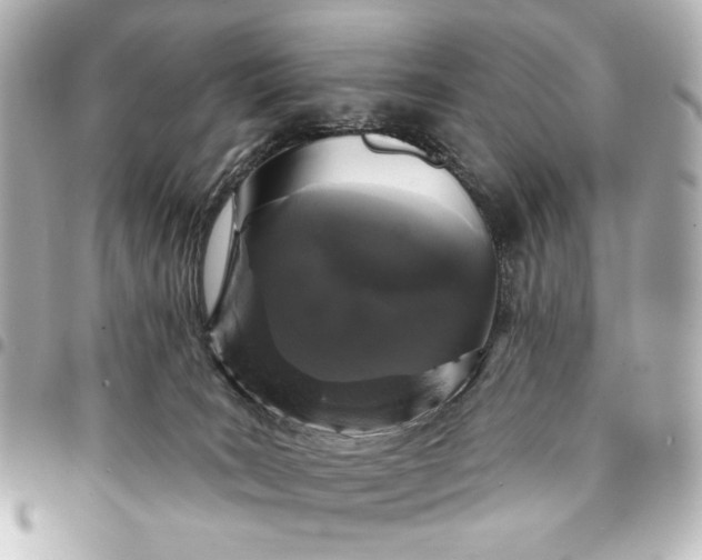 X0000095510035200712281447