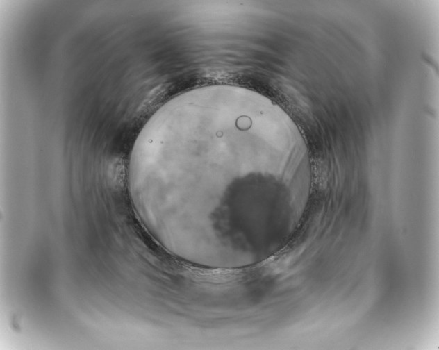 X0000095510036200712281447