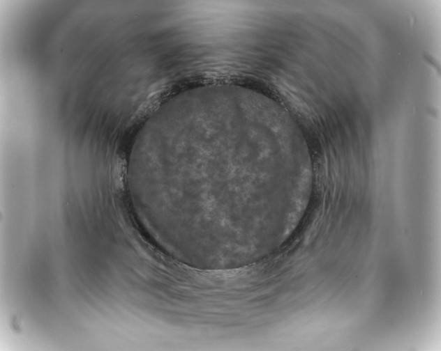 X0000095510038200712281447