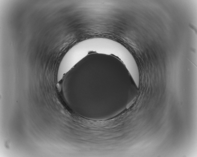 X0000095510039200712281447