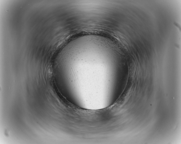 X0000095510040200712281447
