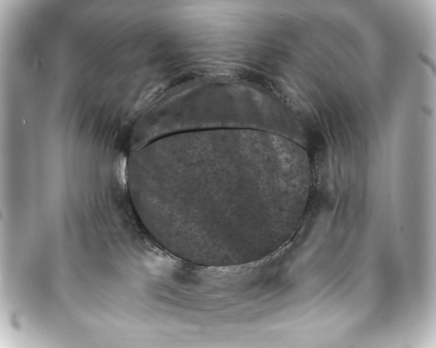 X0000095510041200712281447