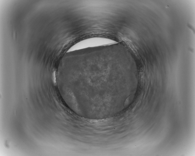 X0000095510042200712281447