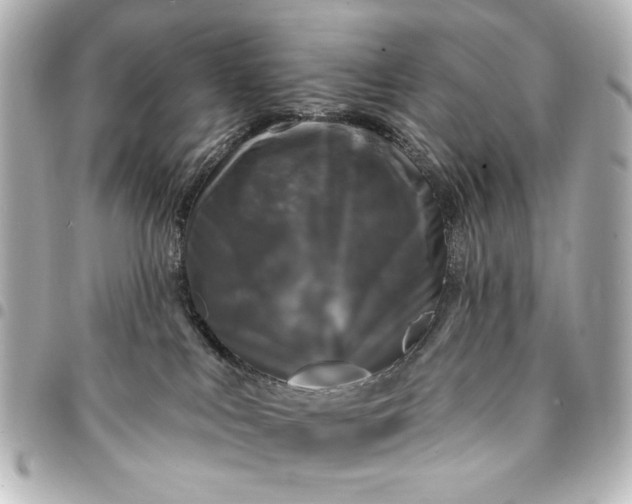 X0000095510043200712281447