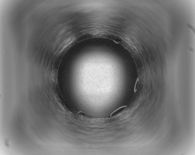 X0000095510044200712281447