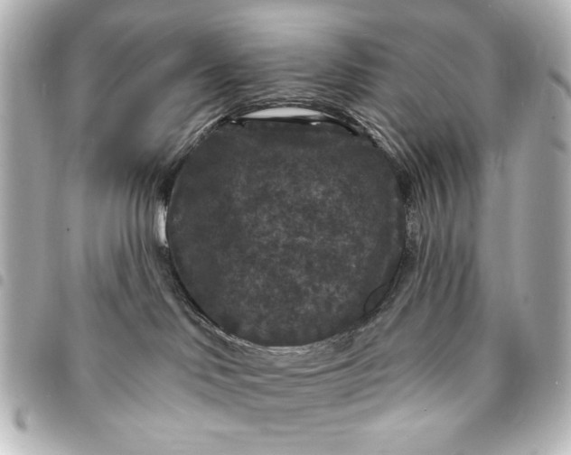 X0000095510046200712281447