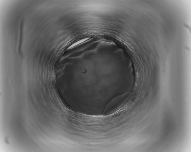 X0000095510048200712281447