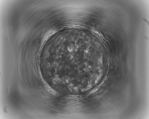 X0000095510049200712281447