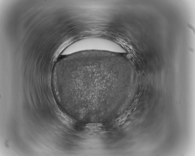 X0000095510051200712281447