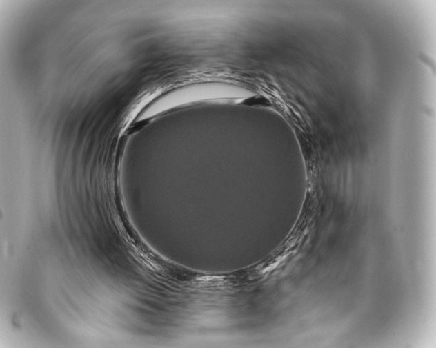 X0000095510052200712281447