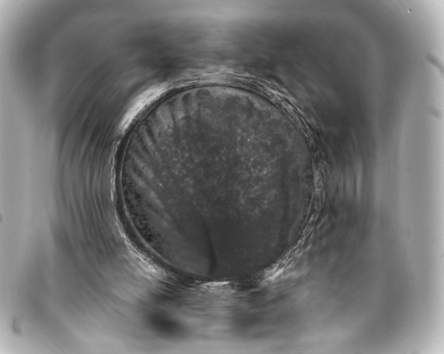 X0000095510054200712281447