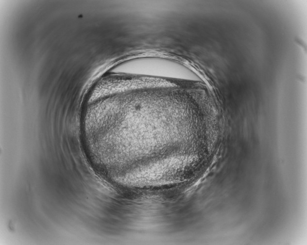 X0000095510055200712281447
