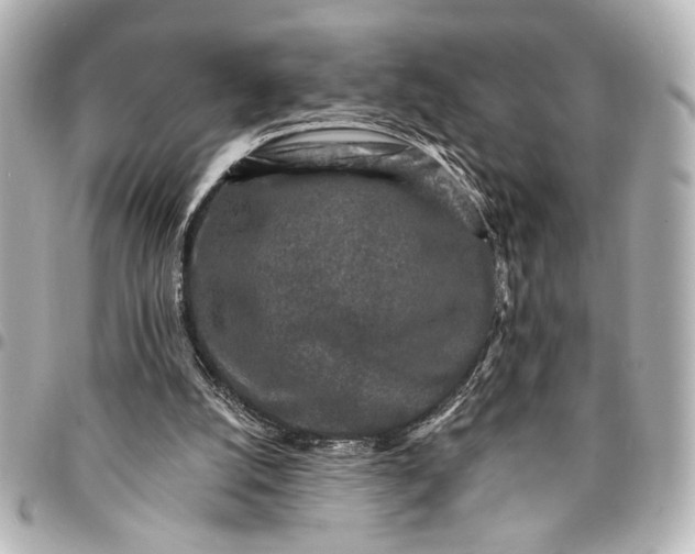 X0000095510056200712281447