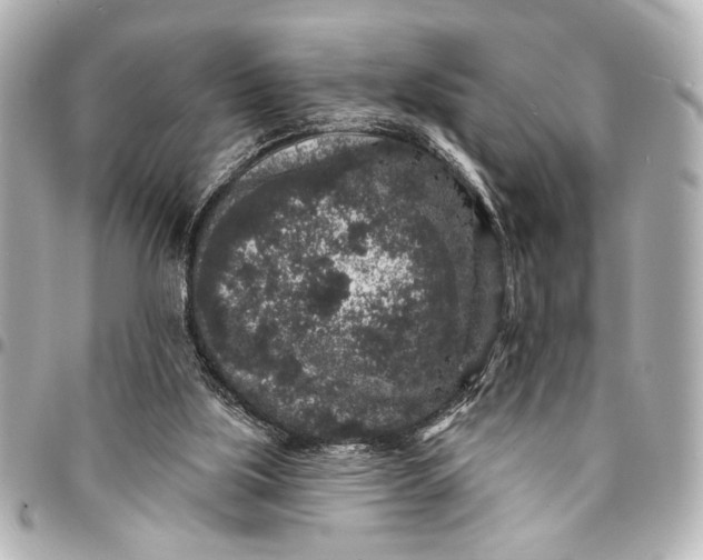 X0000095510059200712281447