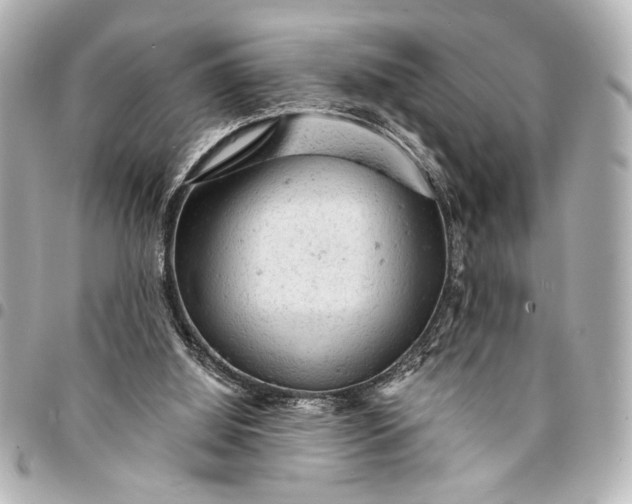 X0000095510060200712281447