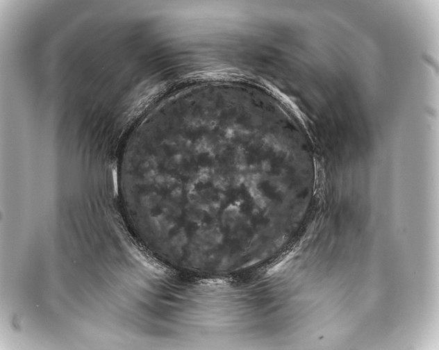 X0000095510061200712281447