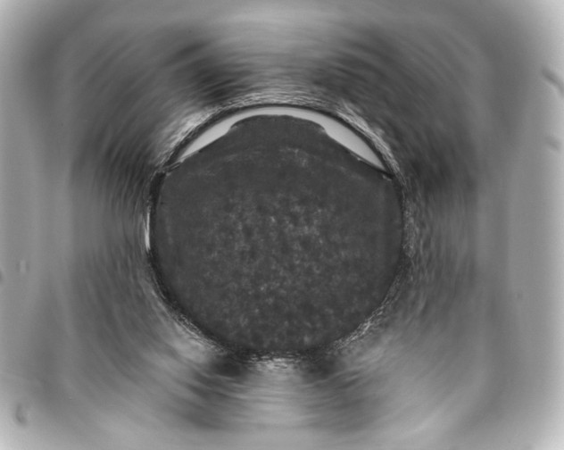 X0000095510062200712281447