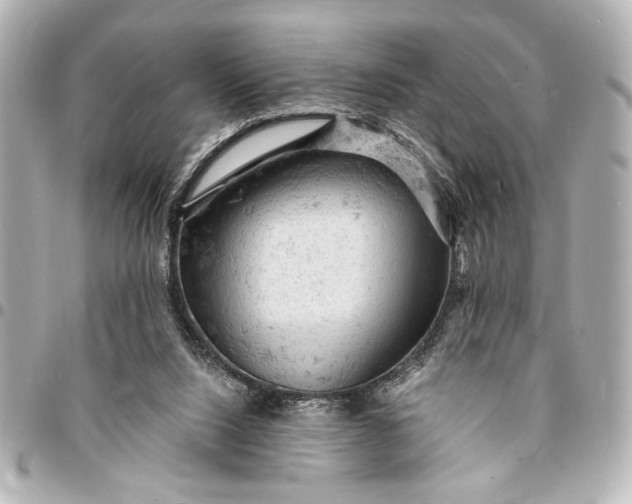 X0000095510064200712281447
