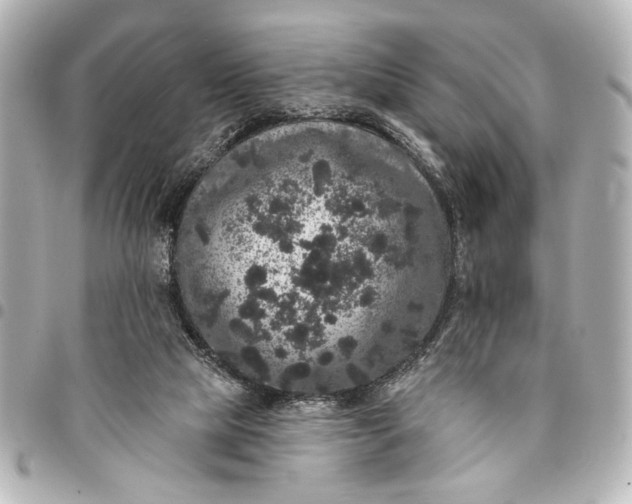 X0000095510065200712281447