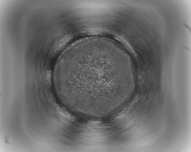 X0000095510066200712281447