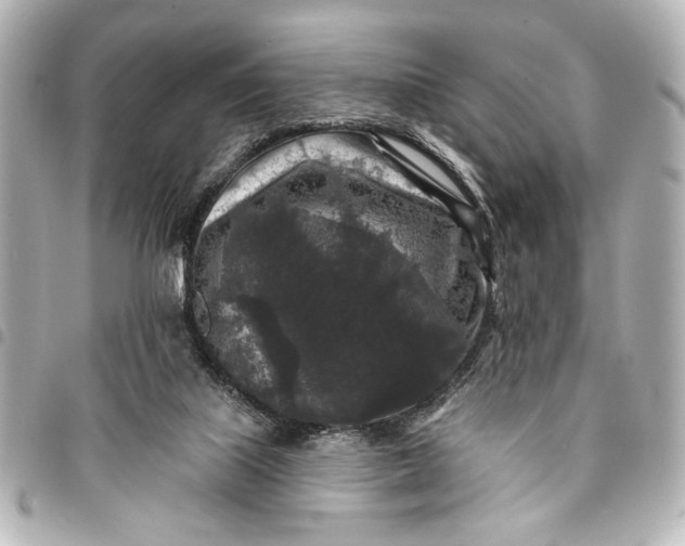 X0000095510067200712281447