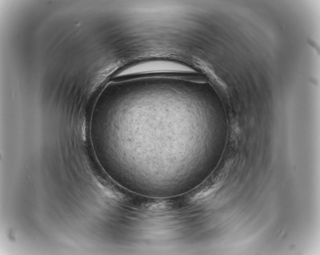 X0000095510068200712281447