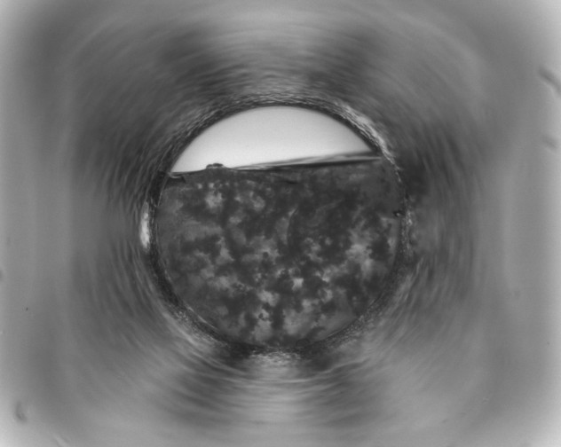 X0000095510069200712281447