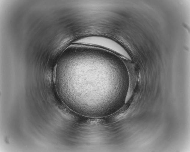 X0000095510072200712281447