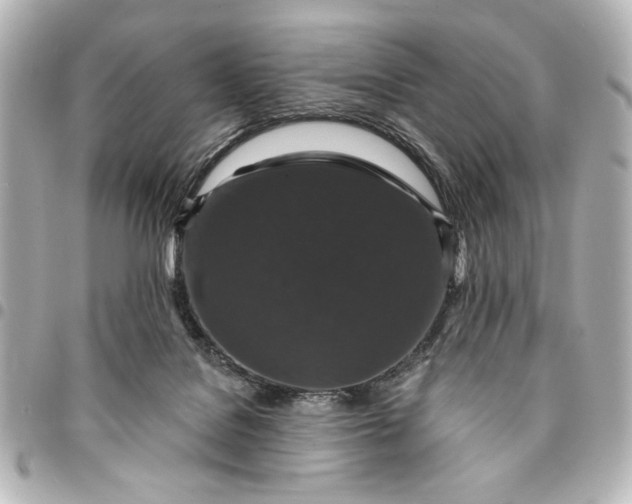 X0000095510076200712281447