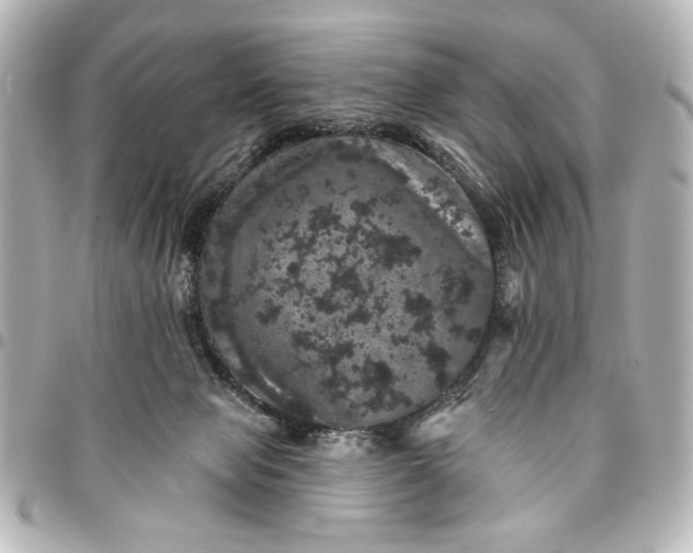 X0000095510077200712281447