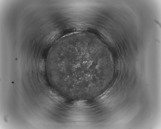 X0000095510078200712281447