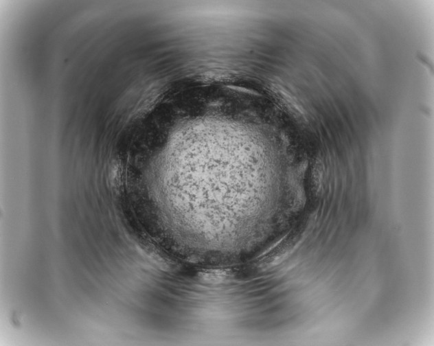 X0000095510079200712281447