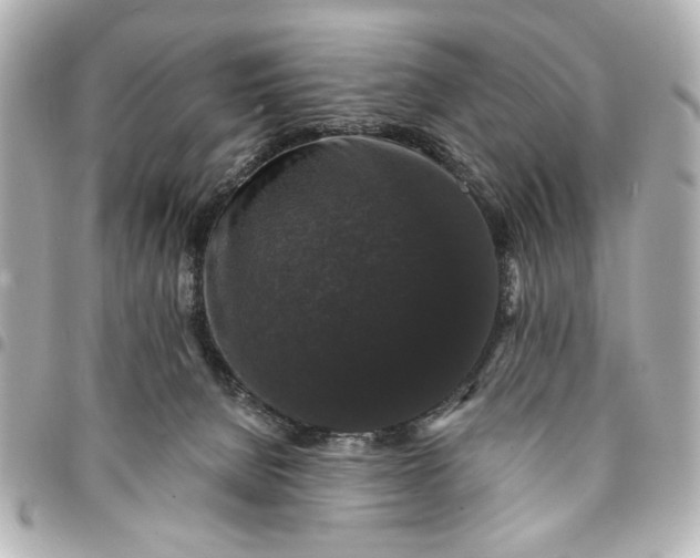 X0000095510080200712281447
