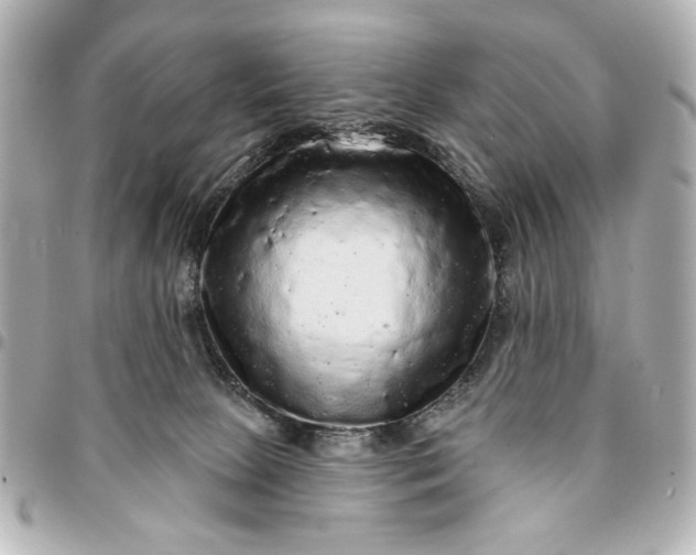 X0000095510081200712281447
