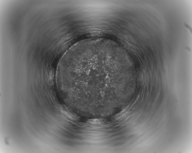 X0000095510082200712281447
