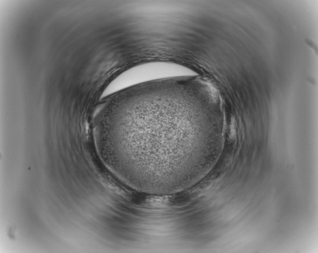 X0000095510084200712281447