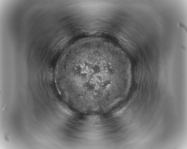 X0000095510085200712281447
