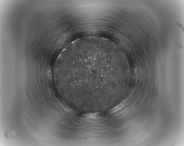 X0000095510086200712281447