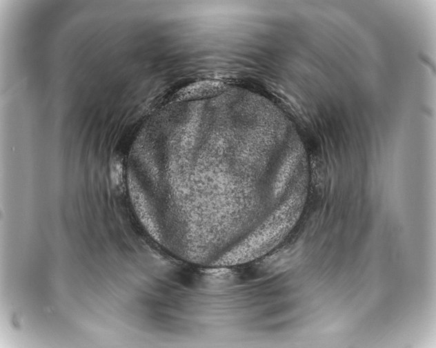 X0000095510087200712281447